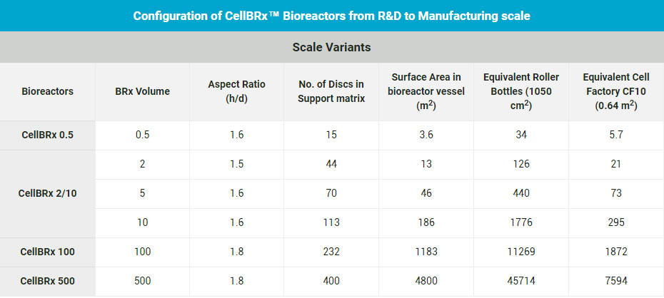 Configuration of CellBRx™ Bioreactors